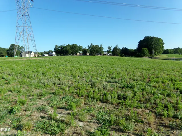 a view of a green field with lots of green space