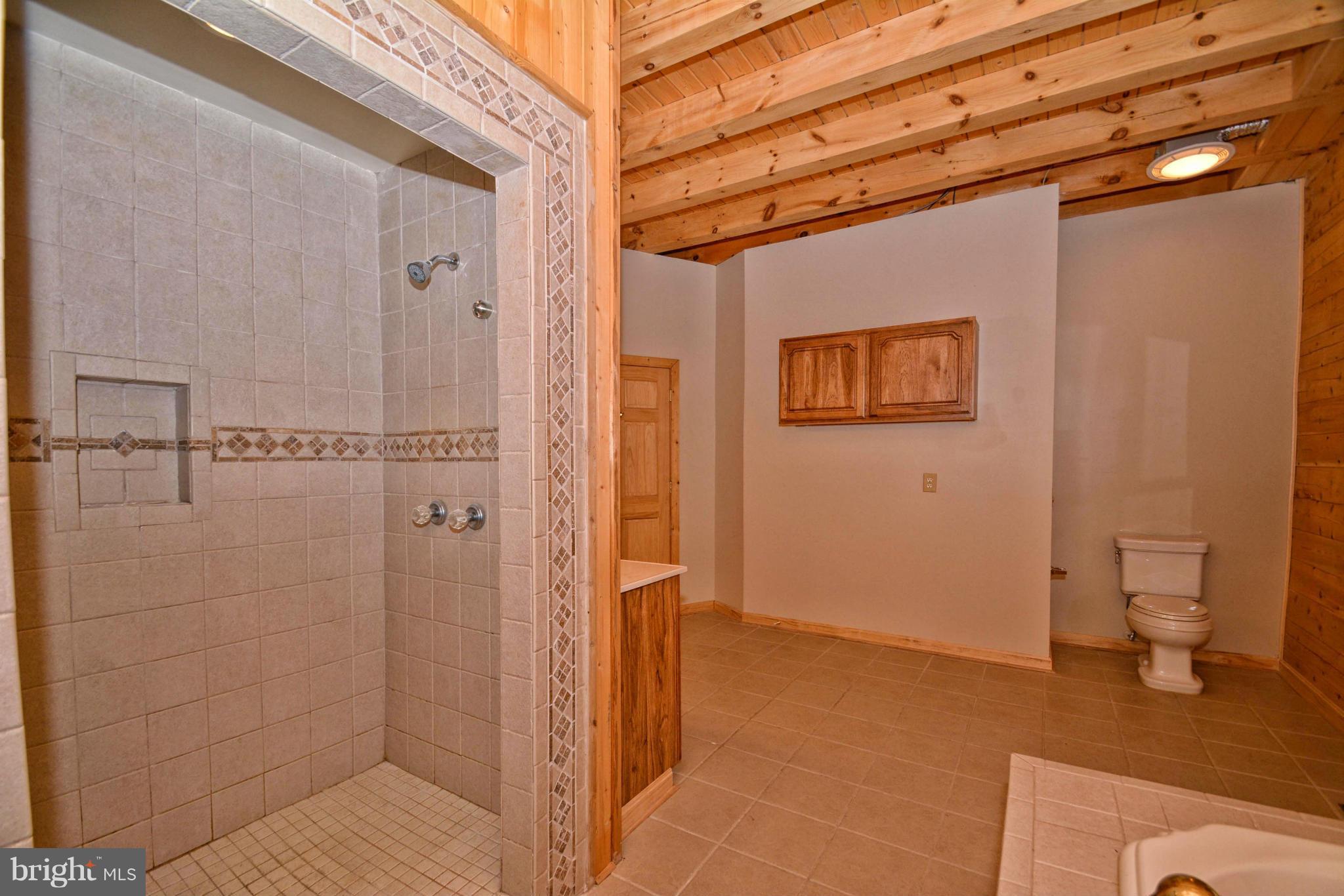 170 Lower Valley Road Strasburg, VA 22657 - Photo 24 of 28 Bath (Master)