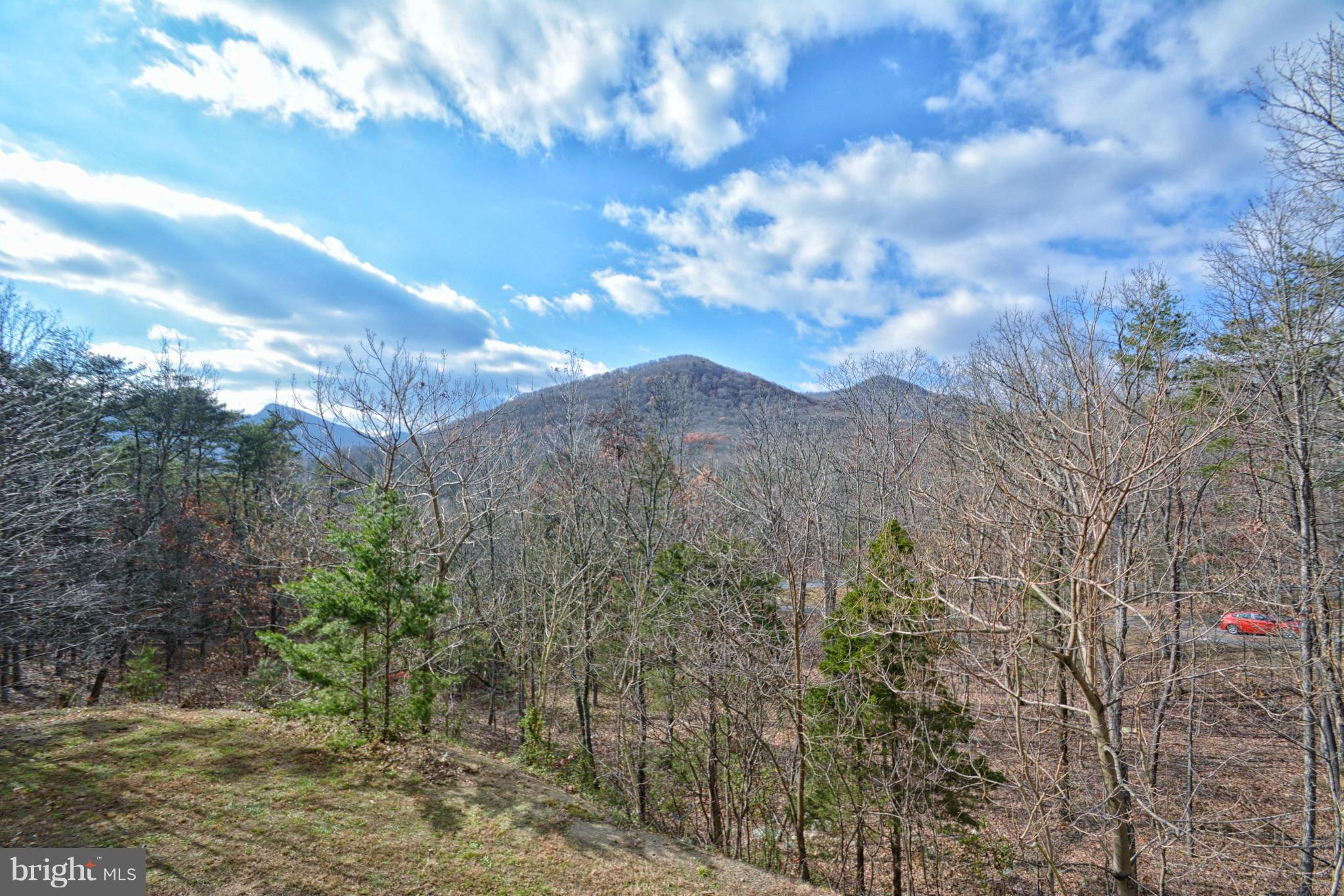 170 Lower Valley Road Strasburg, VA 22657 - Photo 8 of 28 View