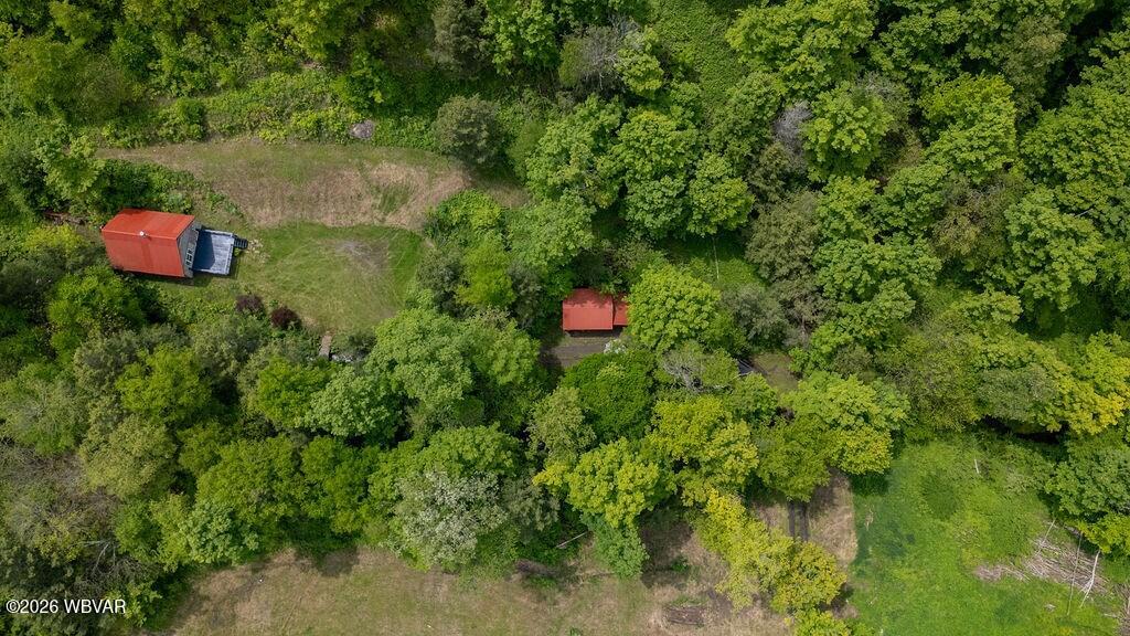 511 Steam Mill Road Wellsboro, PA 16901 - Photo 34 of 50 Gallery Image 34