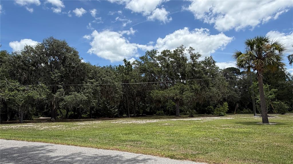 0 Lakeview Street Umatilla, FL 32784 - Photo 8 of 14 a view of a park