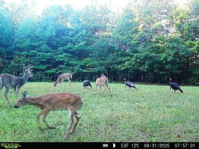 W7512 Poertner Road Neillsville, WI 54456 - Photo 22 of 37
