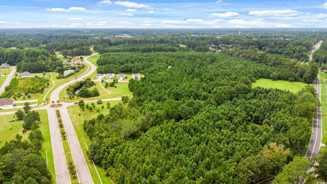 $2,200,000 | Tbd Pembroke Boulevard, Johnsonville, SC 29555