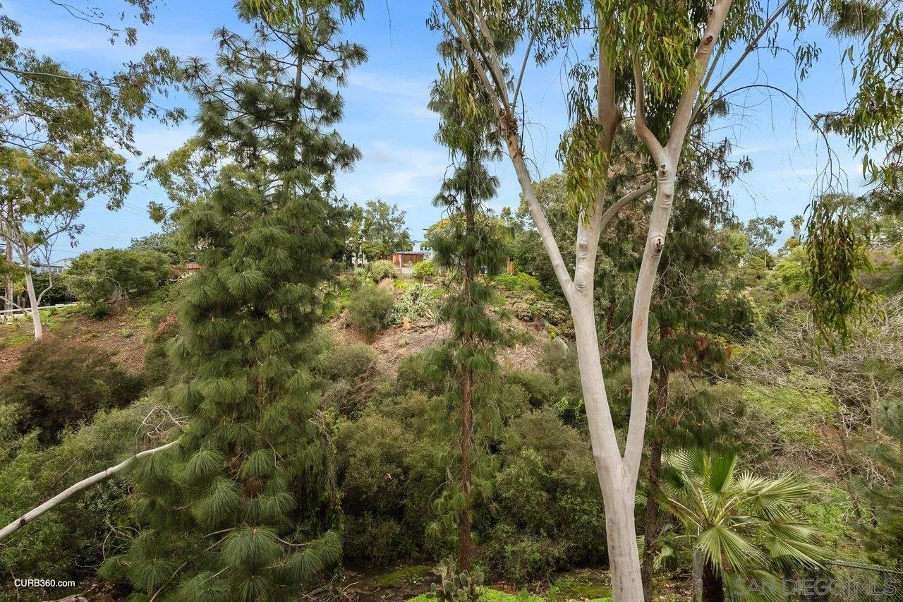 4579 54th Street San Diego, CA 92115 - Photo 13 of 39 a view of a tree