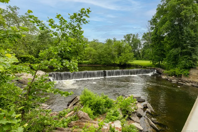 a view of a bunch of trees