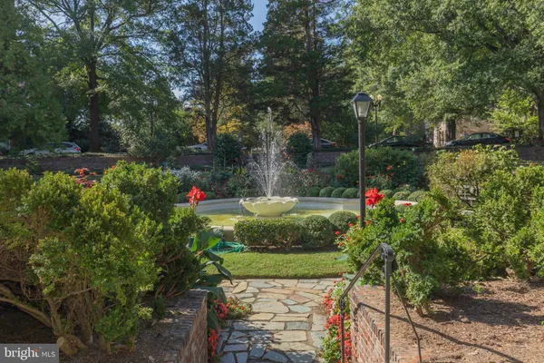 a swimming pool with plants and trees in the background