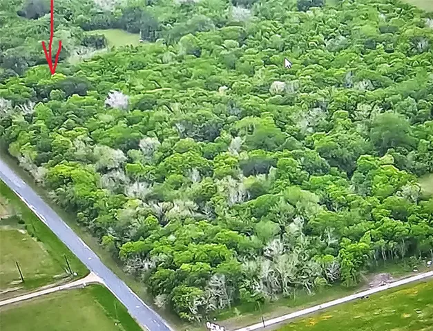 a view of a garden from a balcony