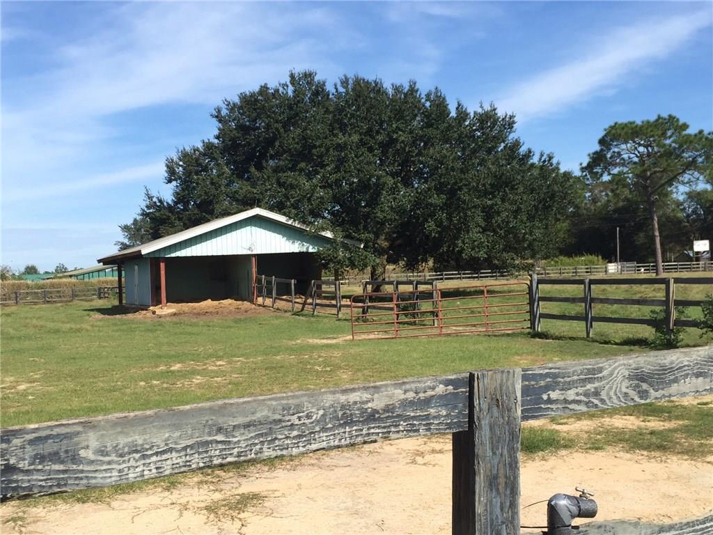 50431 Turnpike Road Folsom, LA 70437 - Photo 12 of 25 Gallery Image 12