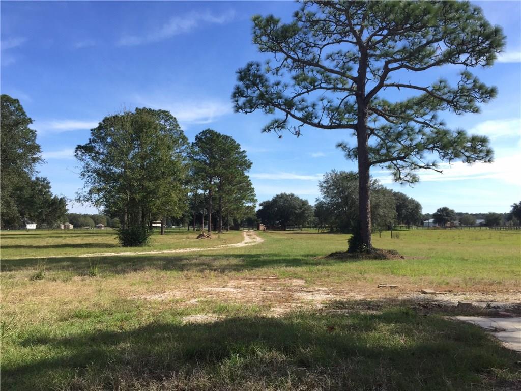 50431 Turnpike Road Folsom, LA 70437 - Photo 20 of 25 Gallery Image 20