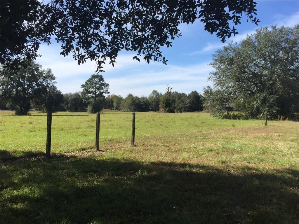 50431 Turnpike Road Folsom, LA 70437 - Photo 4 of 25 Gallery Image 4
