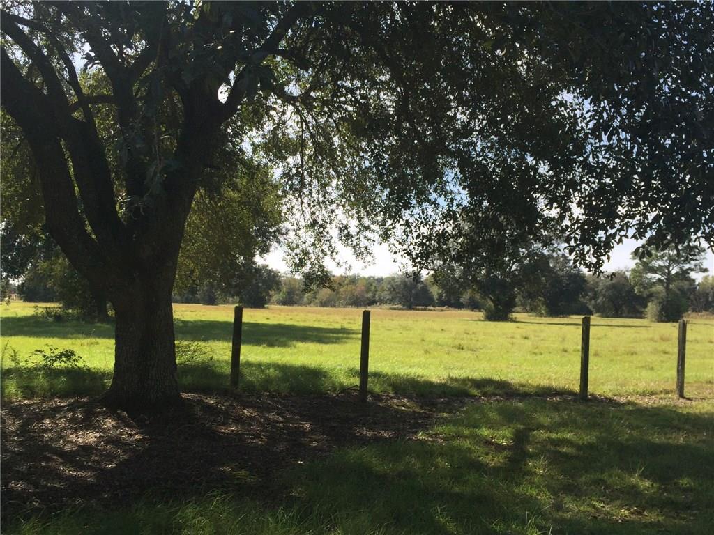 50431 Turnpike Road Folsom, LA 70437 - Photo 5 of 25 Gallery Image 5