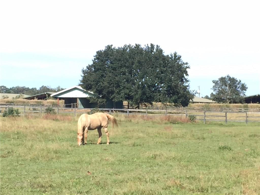 50431 Turnpike Road Folsom, LA 70437 - Photo 6 of 25 Gallery Image 6