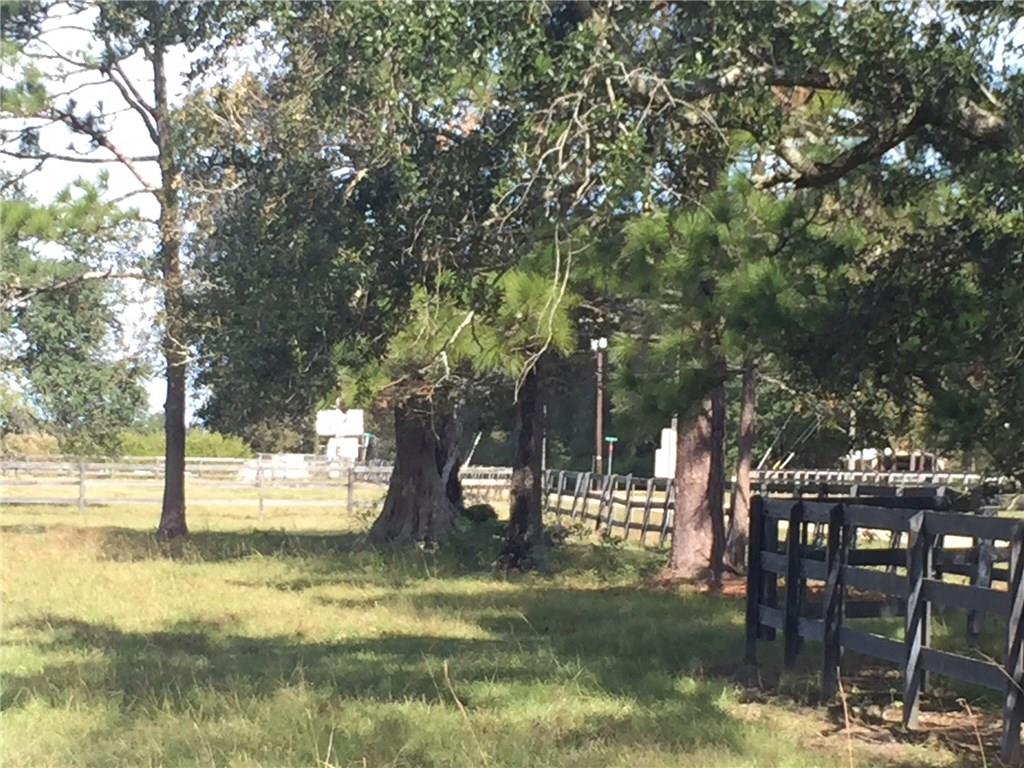 50431 Turnpike Road Folsom, LA 70437 - Photo 7 of 25 Gallery Image 7