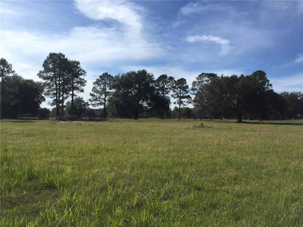 50431 Turnpike Road Folsom, LA 70437 - Photo 8 of 25 Gallery Image 8