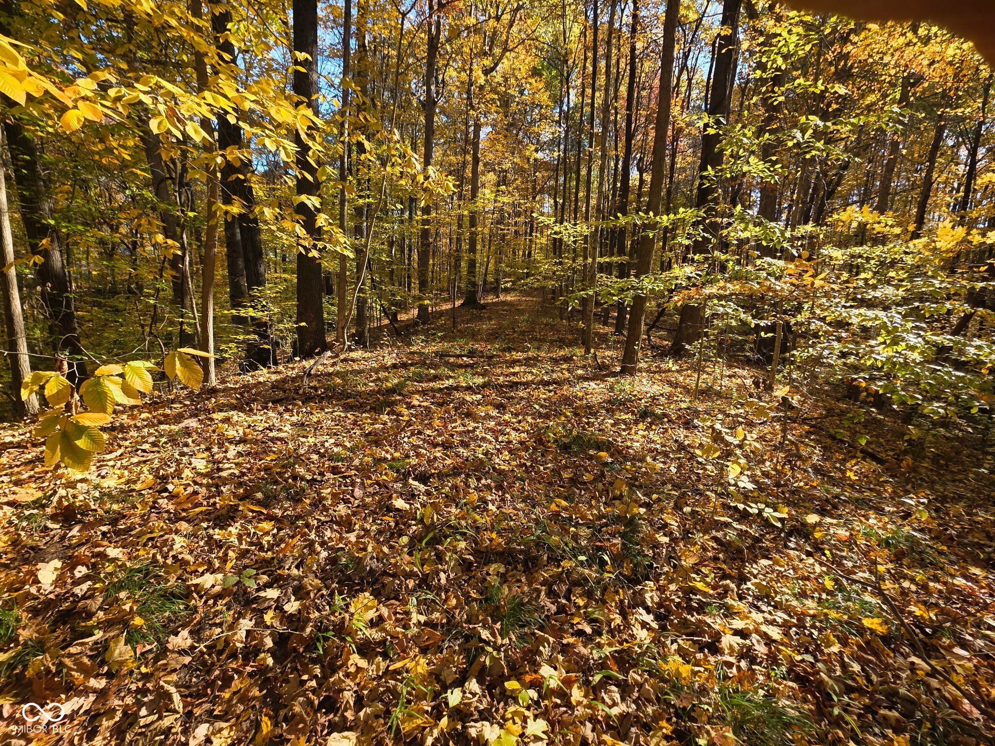 9660 Old Haggard Road Morgantown, IN 46160 - Photo 16 of 17