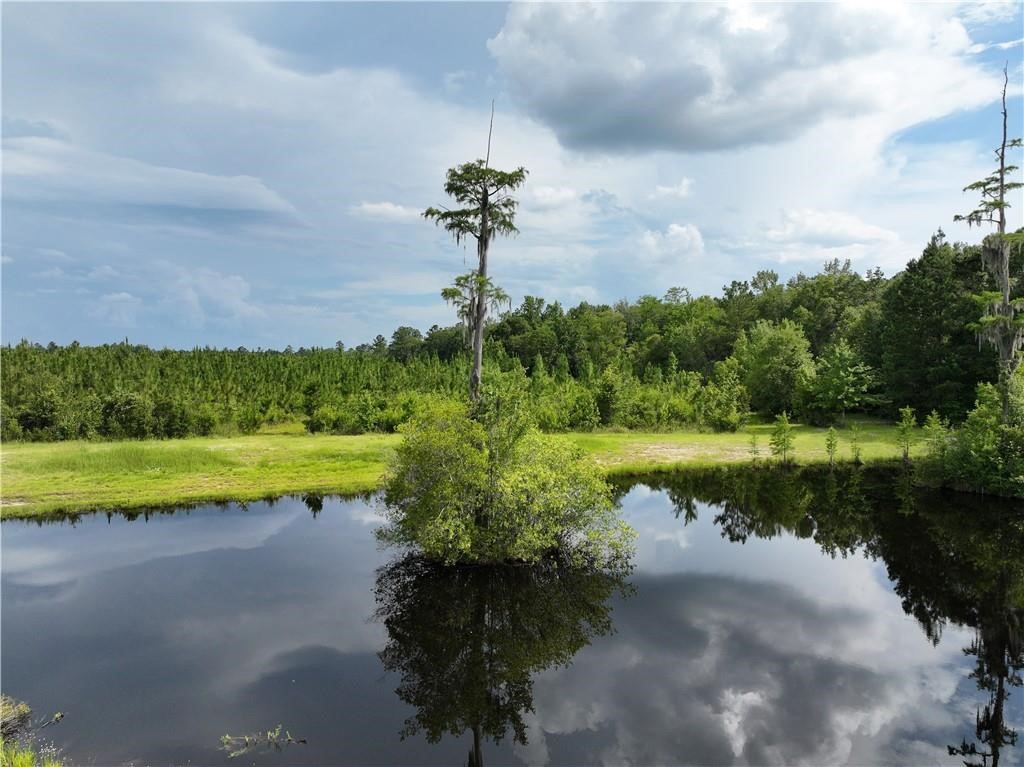 0 Rogers Break Road Jesup, GA 31546 - Photo 3 of 6