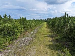 0 Rogers Break Road Jesup, GA 31546 - Photo 4 of 6