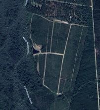 0 Rogers Break Road Jesup, GA 31546 - Photo 5 of 6