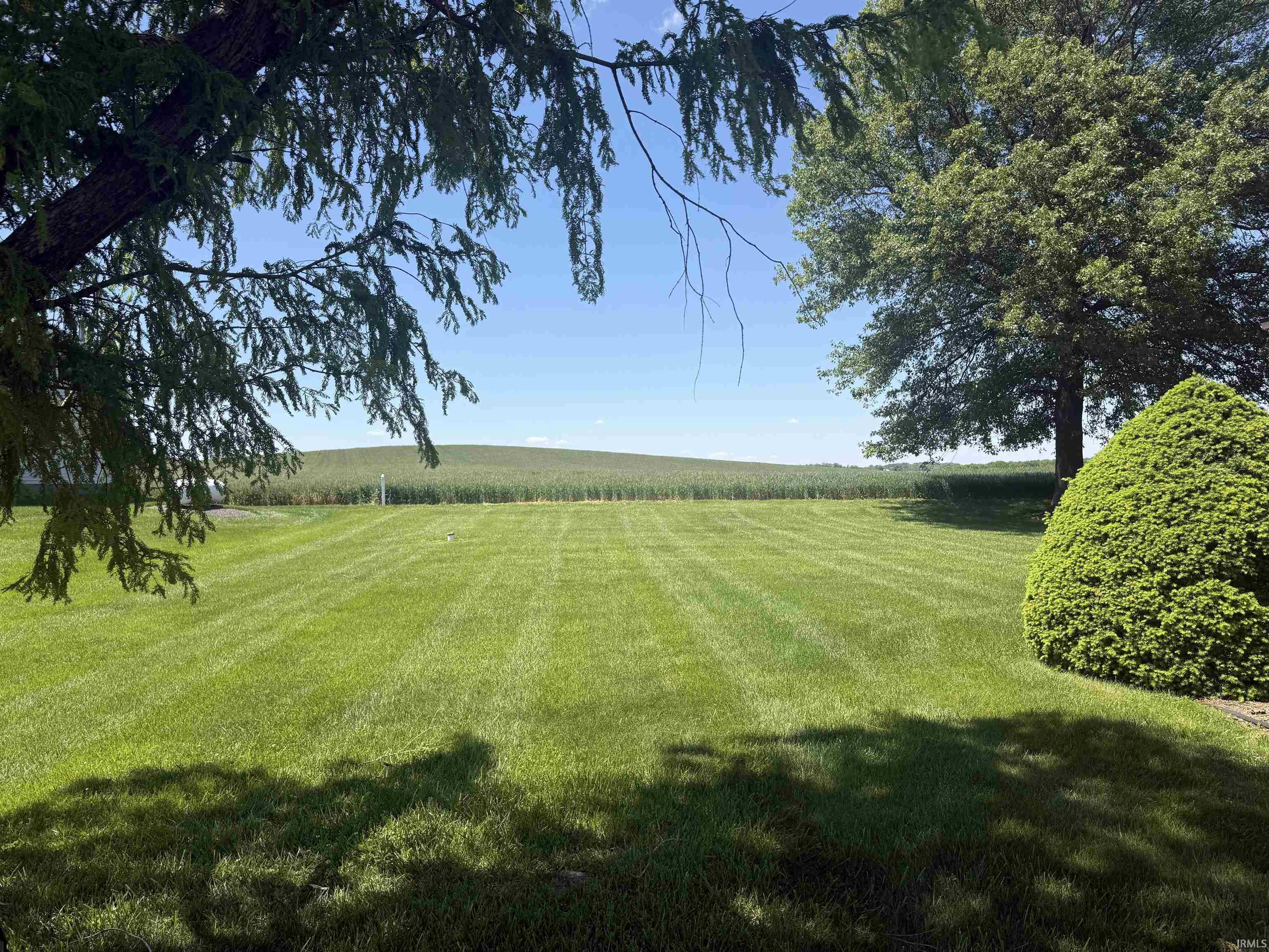 10456 South 290th Road West Fort Branch, IN 47648 - Photo 4 of 36