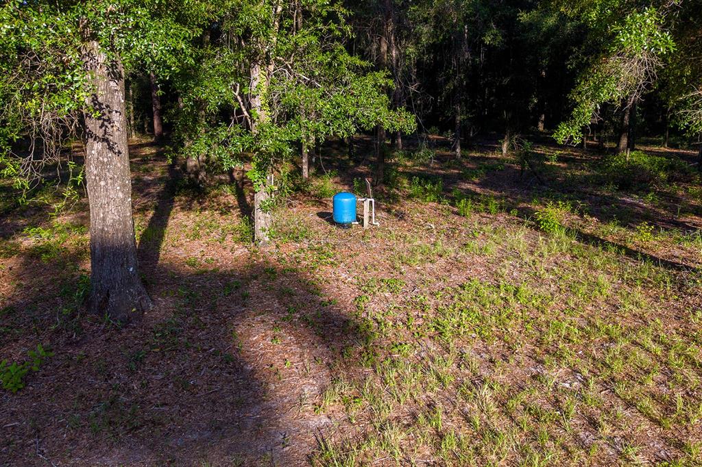 6016 Southwest 52nd Terrace Lake Butler, FL 32054 - Photo 3 of 11