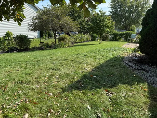 a view of a big yard with large trees