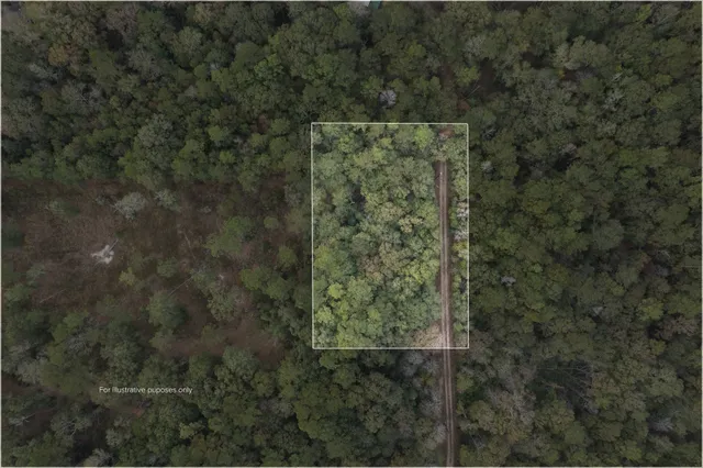 a view of a small yard