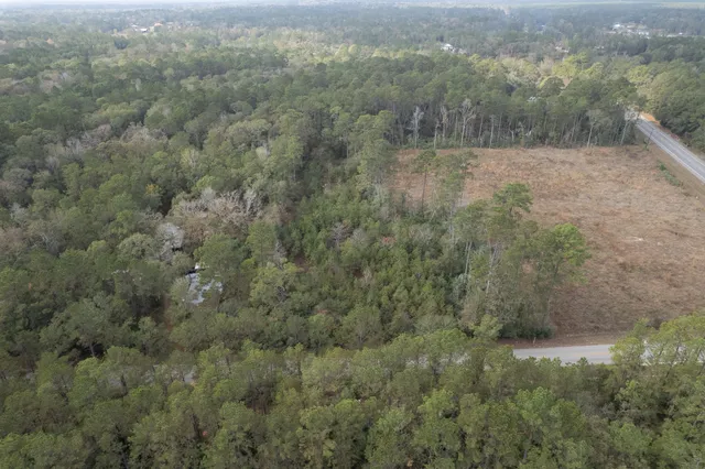 a view of a forest with a street