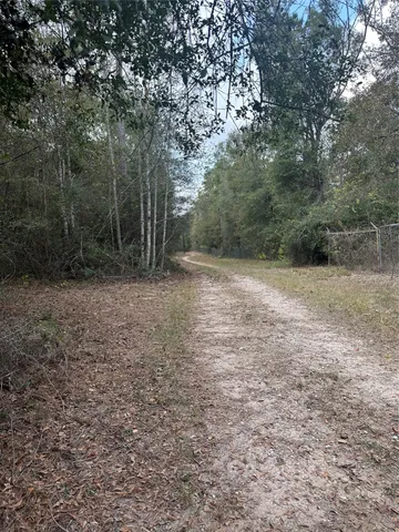 a view of a field with trees in the background