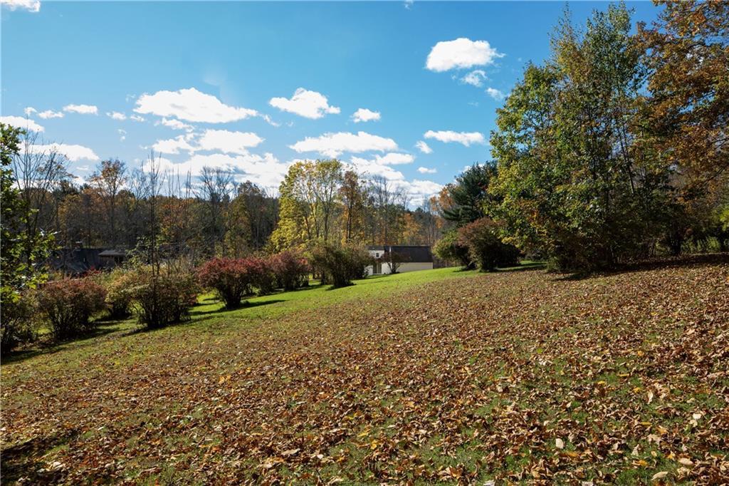 500 Goodwin Road Eliot, ME 03903 - Photo 26 of 32 High blueberry bushes and black...