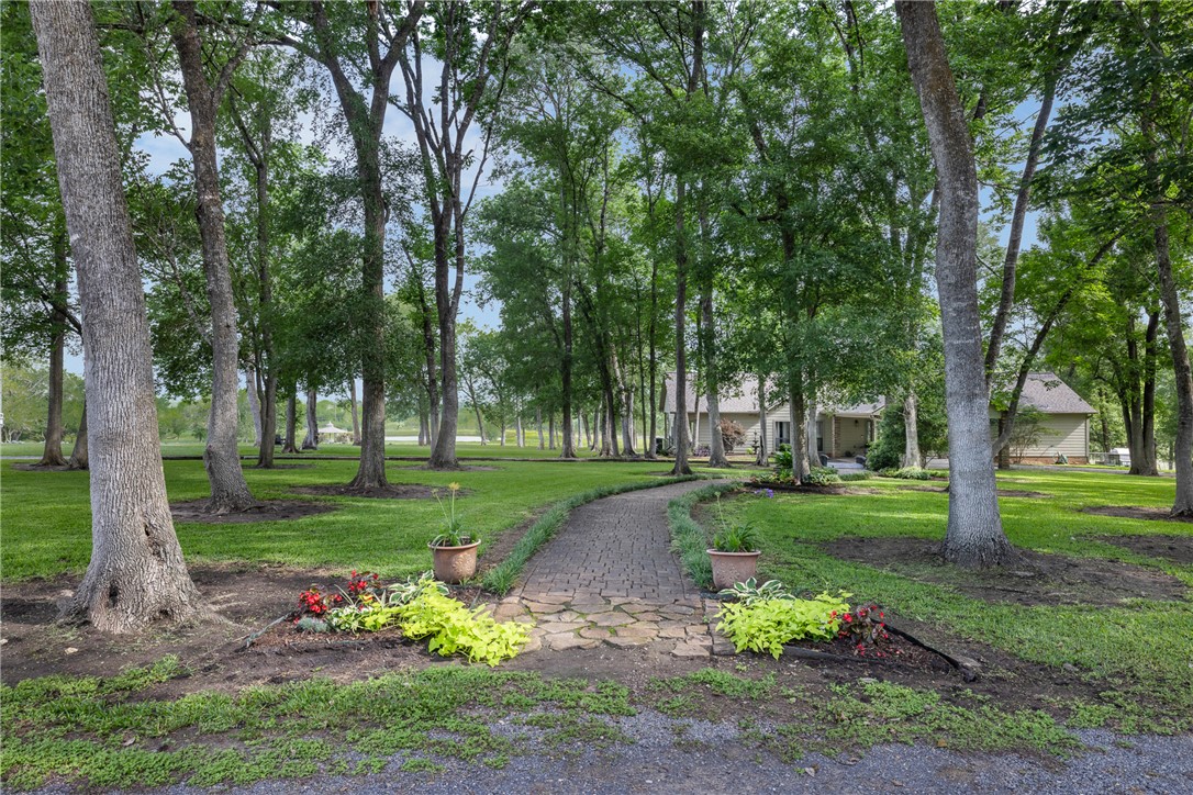 2250 Dillard Road Washington, TX 77880 - Photo 3 of 50 a view of a garden with potted plants and large trees