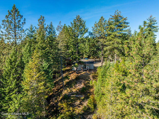 467 Silverado Road Careywood, ID 83809 - Photo 44 of 63 044_bb193428-44_356