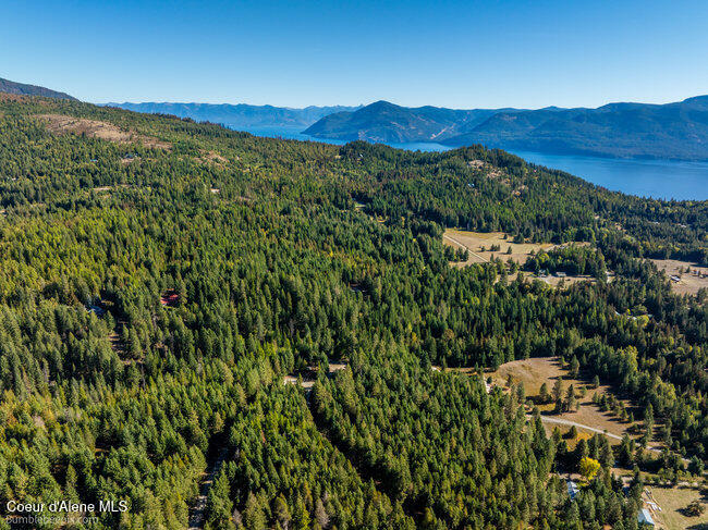 467 Silverado Road Careywood, ID 83809 - Photo 48 of 63 048_bb193428-48_306