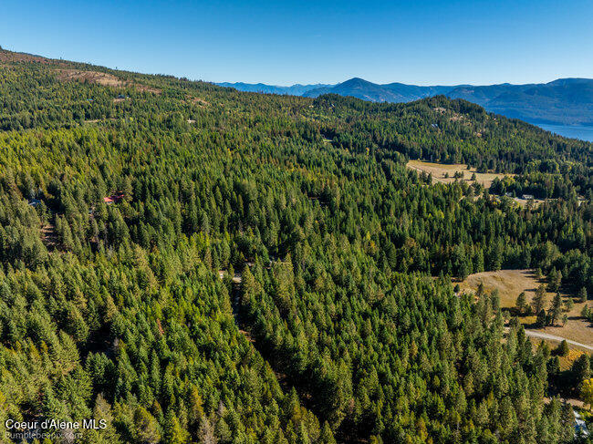 467 Silverado Road Careywood, ID 83809 - Photo 49 of 63 049_bb193428-49_448