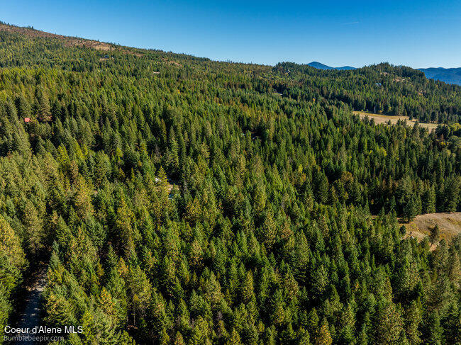 467 Silverado Road Careywood, ID 83809 - Photo 55 of 63 055_bb193428-55_643