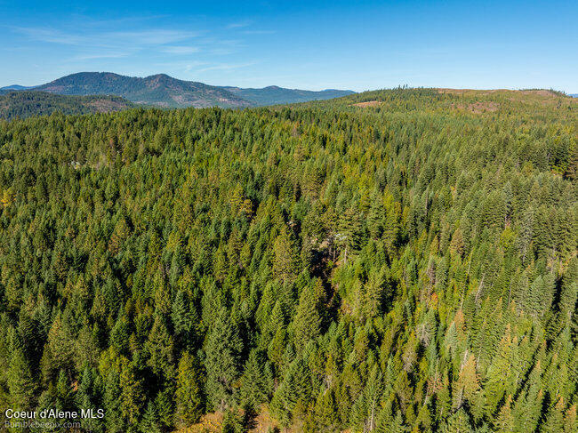 467 Silverado Road Careywood, ID 83809 - Photo 56 of 63 056_bb193428-56_106