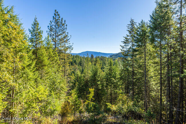 467 Silverado Road Careywood, ID 83809 - Photo 8 of 63 008_bb193428-8_182