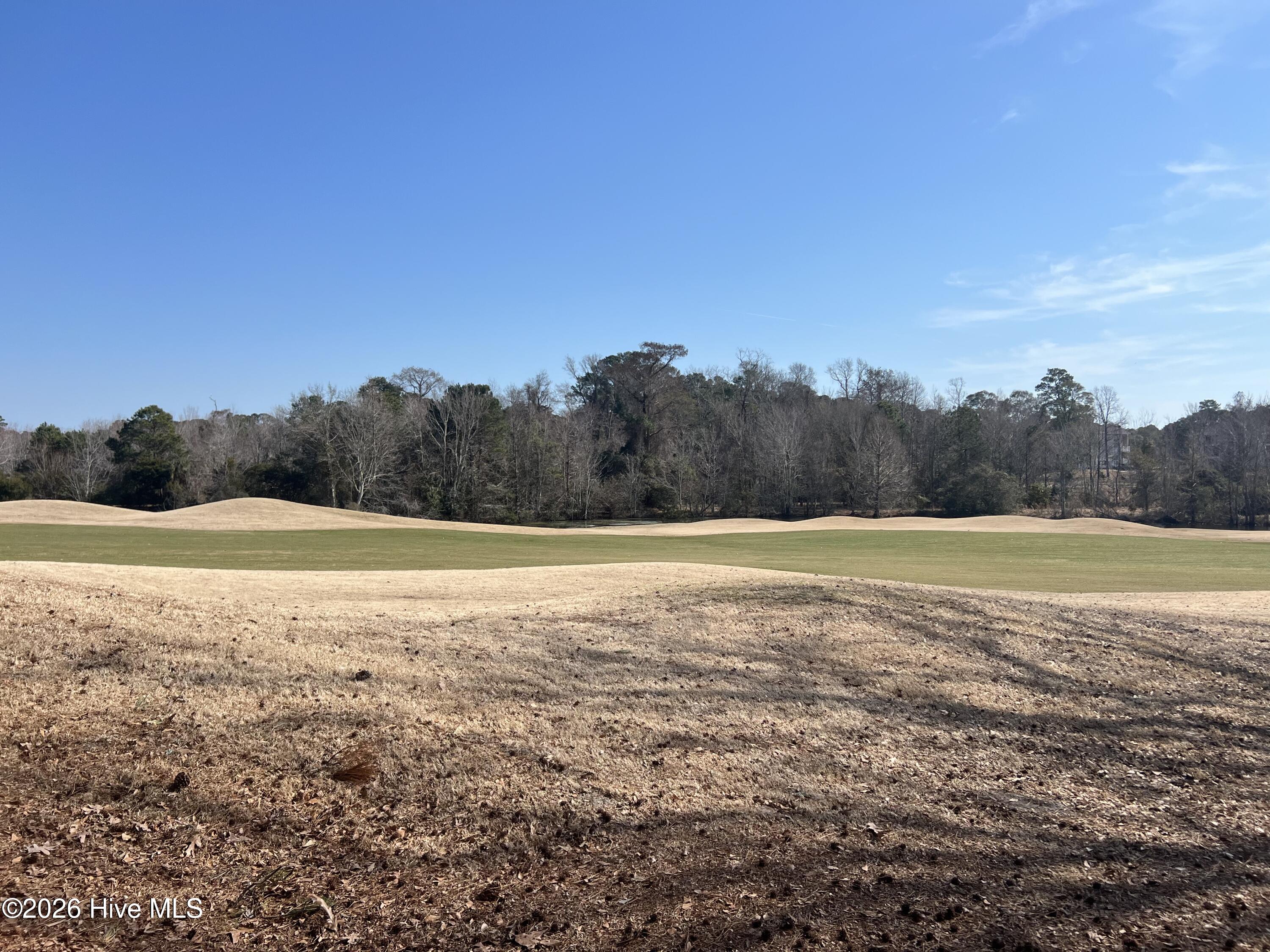 182 Clubhouse Road, Unit 4 Sunset Beach, NC 28468 - Photo 24 of 24 Backyard