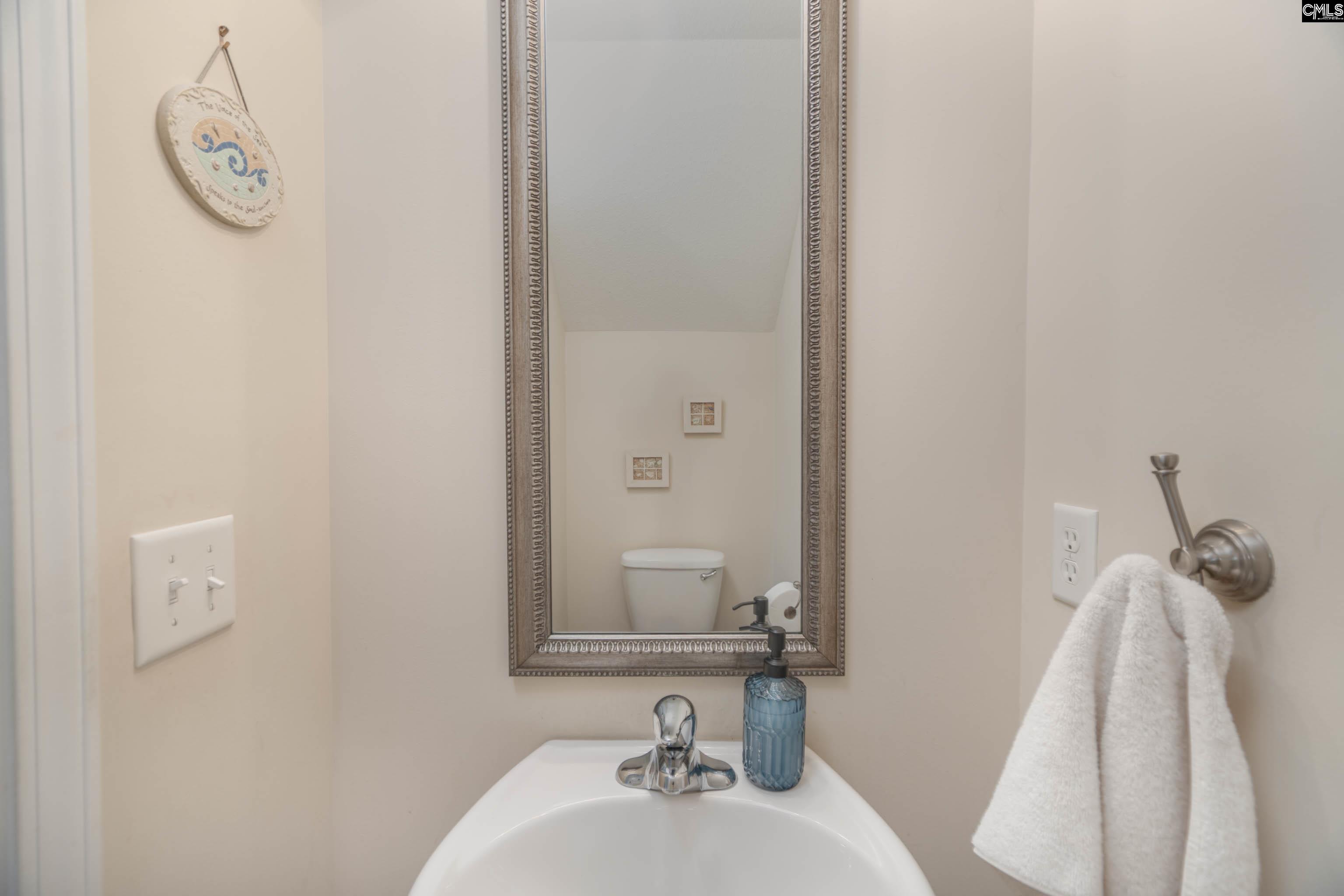 133 Palm Street Chapin, SC 29036 - Photo 8 of 37