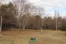 6945 Custer Road Port Sanilac, MI 48469 - Photo 2 of 5 475157-1.JPG