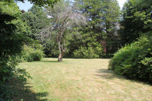 525 Bay Road Hamilton, MA 01982 - Photo 11 of 11 a view of a yard with a tree