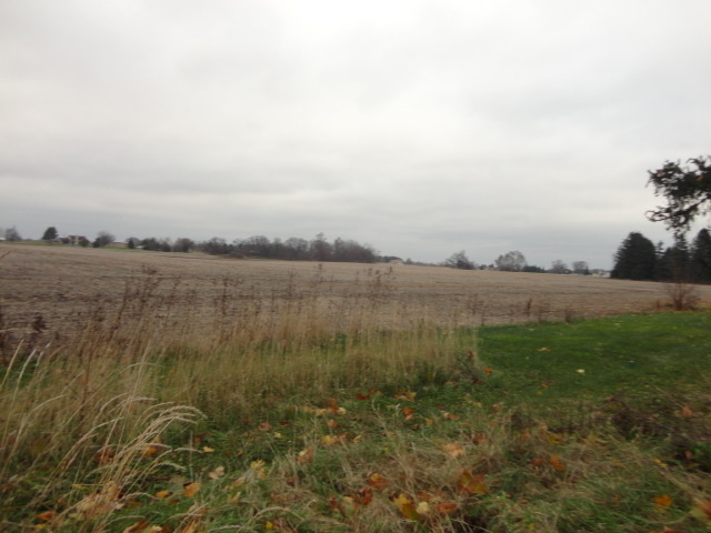 41-w626 Russell Road Elgin, IL 60124 - Photo 3 of 15