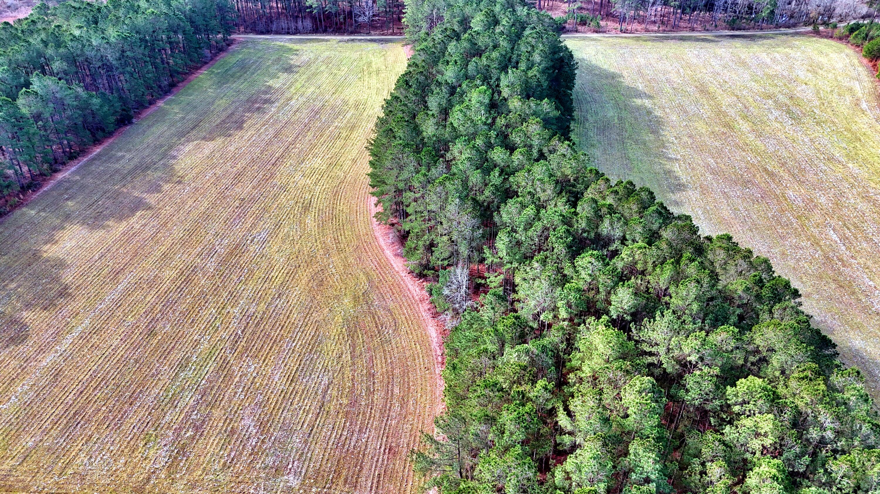 210 Taft Road Salters, SC 29590 - Photo 4 of 10 10