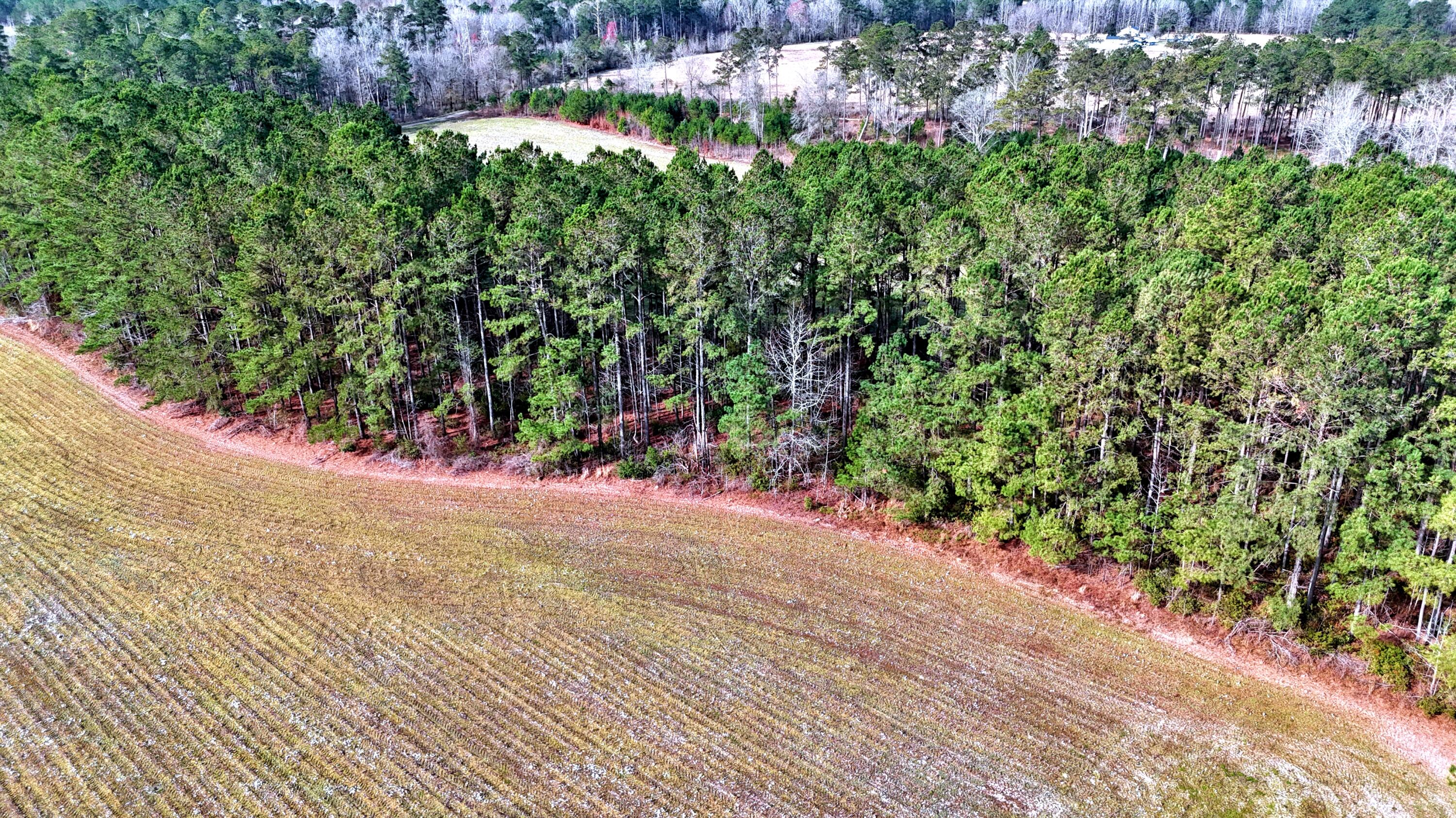 210 Taft Road Salters, SC 29590 - Photo 7 of 10 batch_dji_fly_20250304_092828_0011_17412