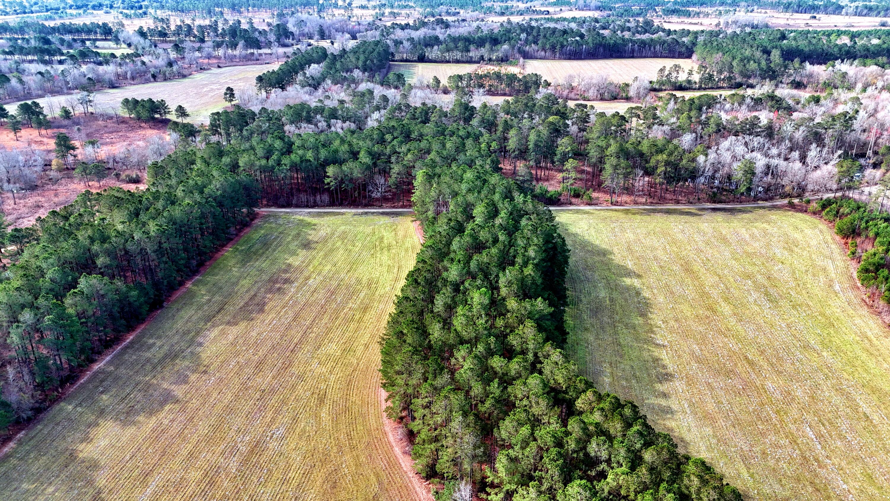 210 Taft Road Salters, SC 29590 - Photo 8 of 10 batch_dji_fly_20250304_092924_0014_17412