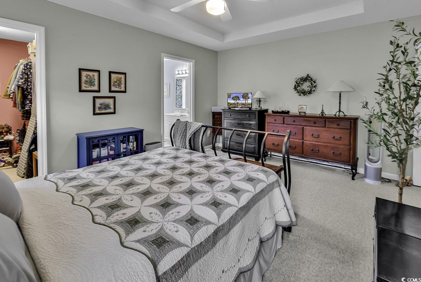 86 Black River Road Myrtle Beach, SC 29588 - Photo 17 of 40 Bedroom featuring a tray ceiling, light carpet, baseboards, ensuite bathroom, walk in closet, and ceiling fan.
