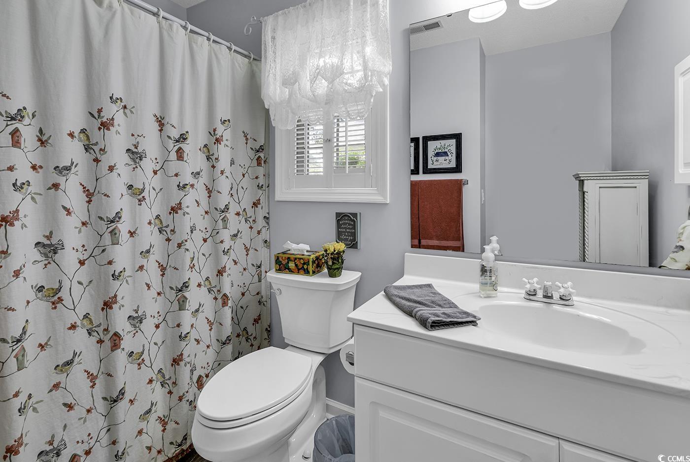 86 Black River Road Myrtle Beach, SC 29588 - Photo 24 of 40 Bathroom featuring toilet, vanity, and curtained shower
