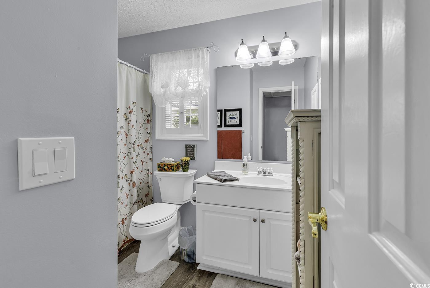 86 Black River Road Myrtle Beach, SC 29588 - Photo 25 of 40 Bathroom with vanity, wood finished floors, toilet, and curtained shower.