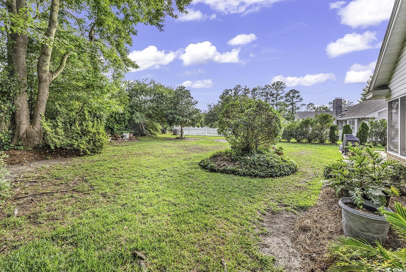 86 Black River Road Myrtle Beach, SC 29588 - Photo 33 of 40 View of yard