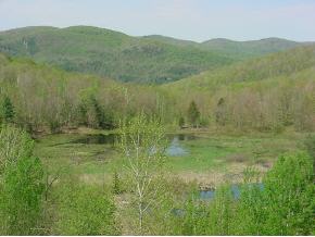 609 Delfrate Road Huntington, VT 05462 - Photo 5 of 7 Gallery Image 5