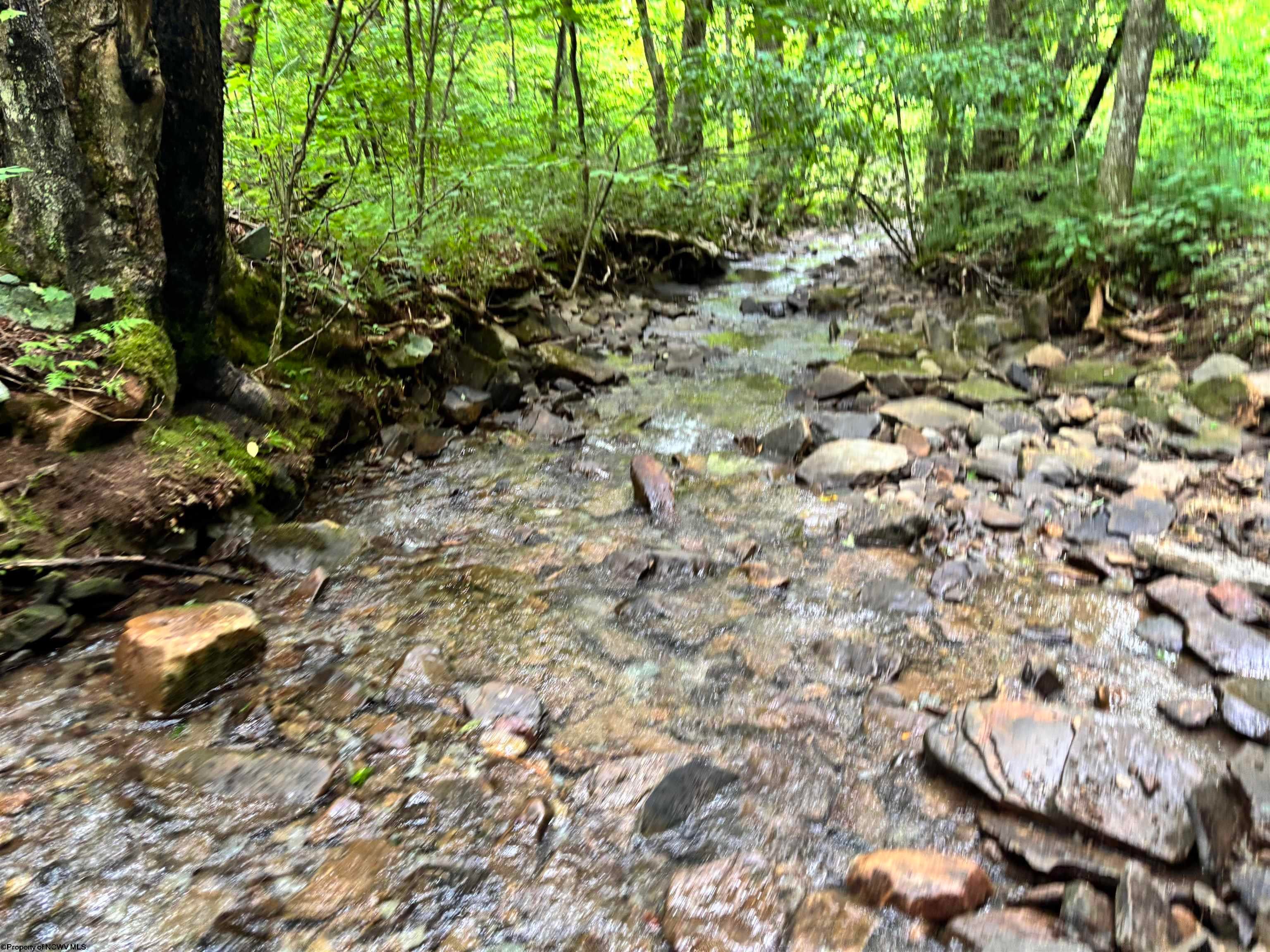 Tbd Clover Run Road Parsons, WV 26287 - Photo 24 of 33 Gallery Image 24